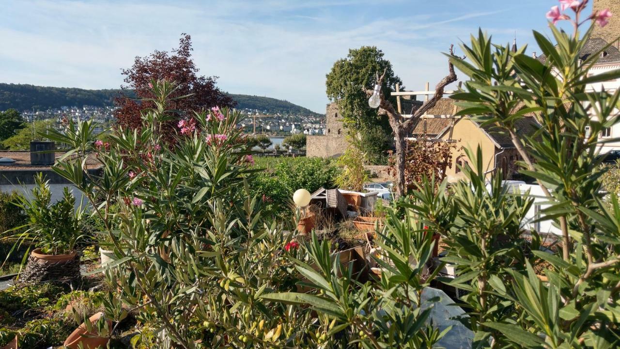 Artstudio Rudesheim Daire Rüdesheim am Rhein Dış mekan fotoğraf