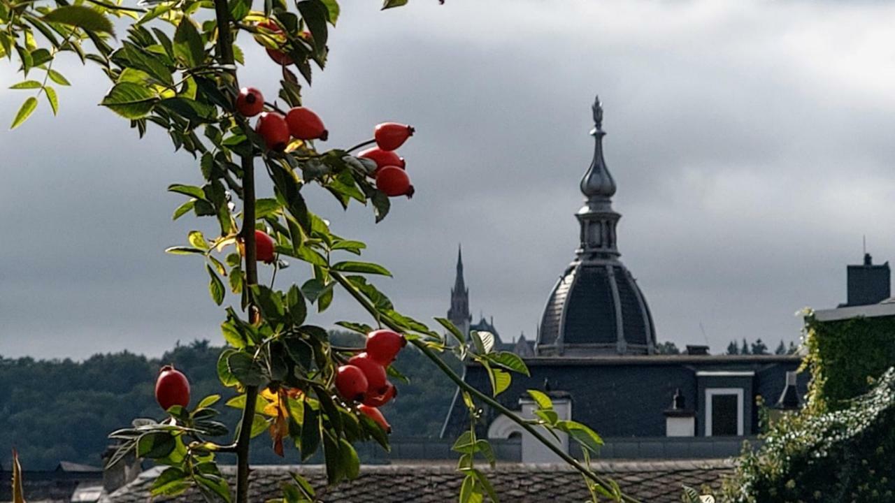 Artstudio Rudesheim Daire Rüdesheim am Rhein Dış mekan fotoğraf